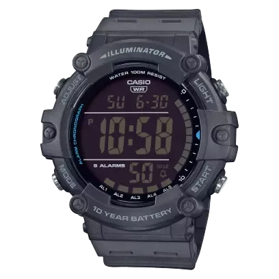 Large  LCD  HD  Dig   10Y 100M